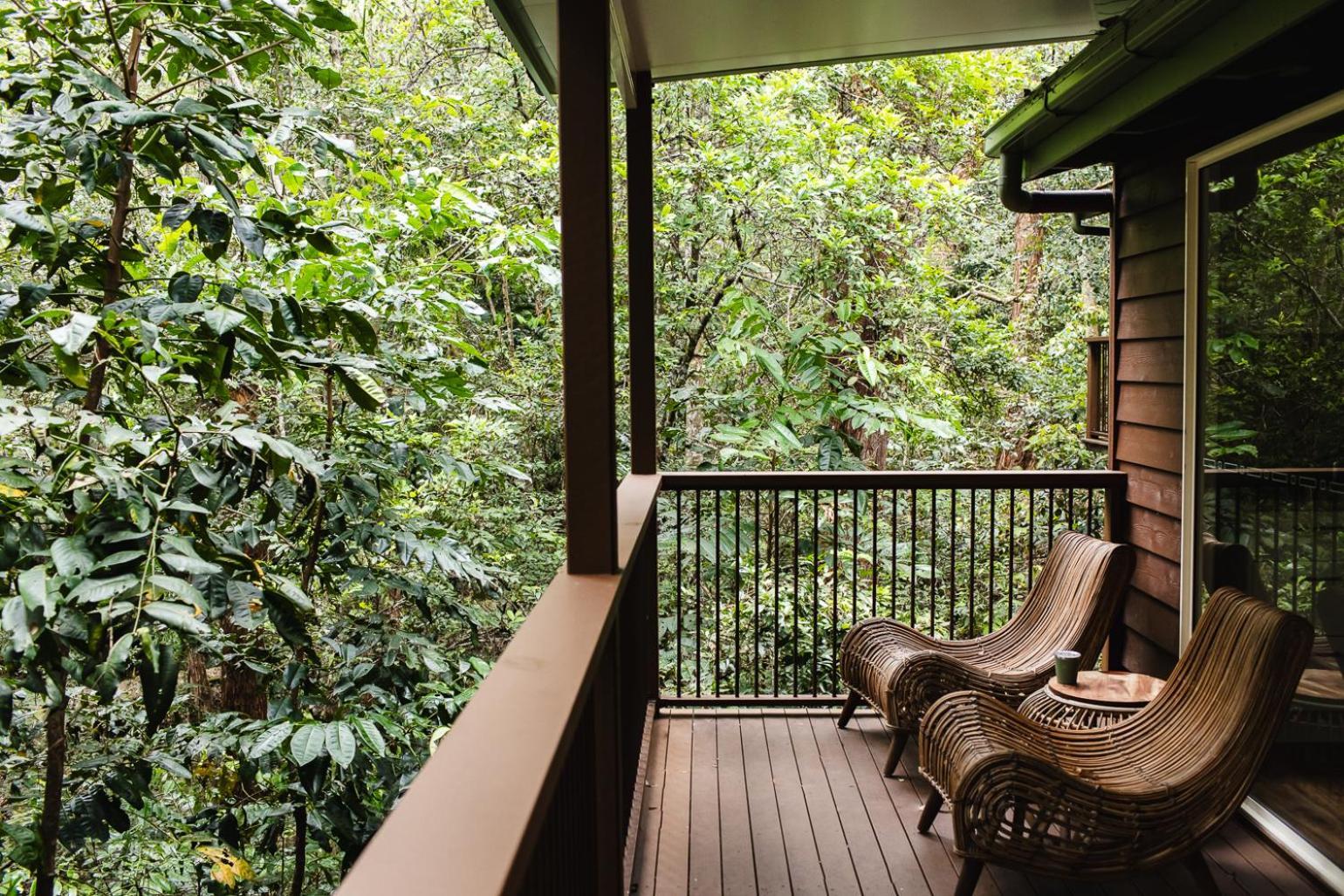 Kondalilla Eco Resort Montville Extérieur photo