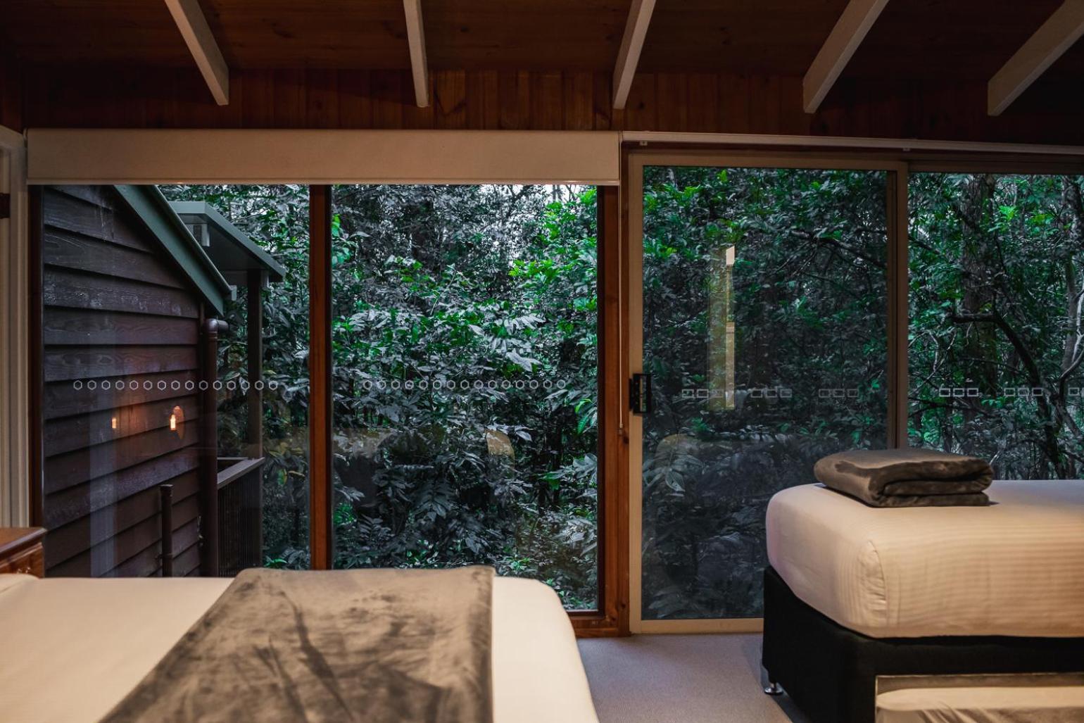 Kondalilla Eco Resort Montville Extérieur photo