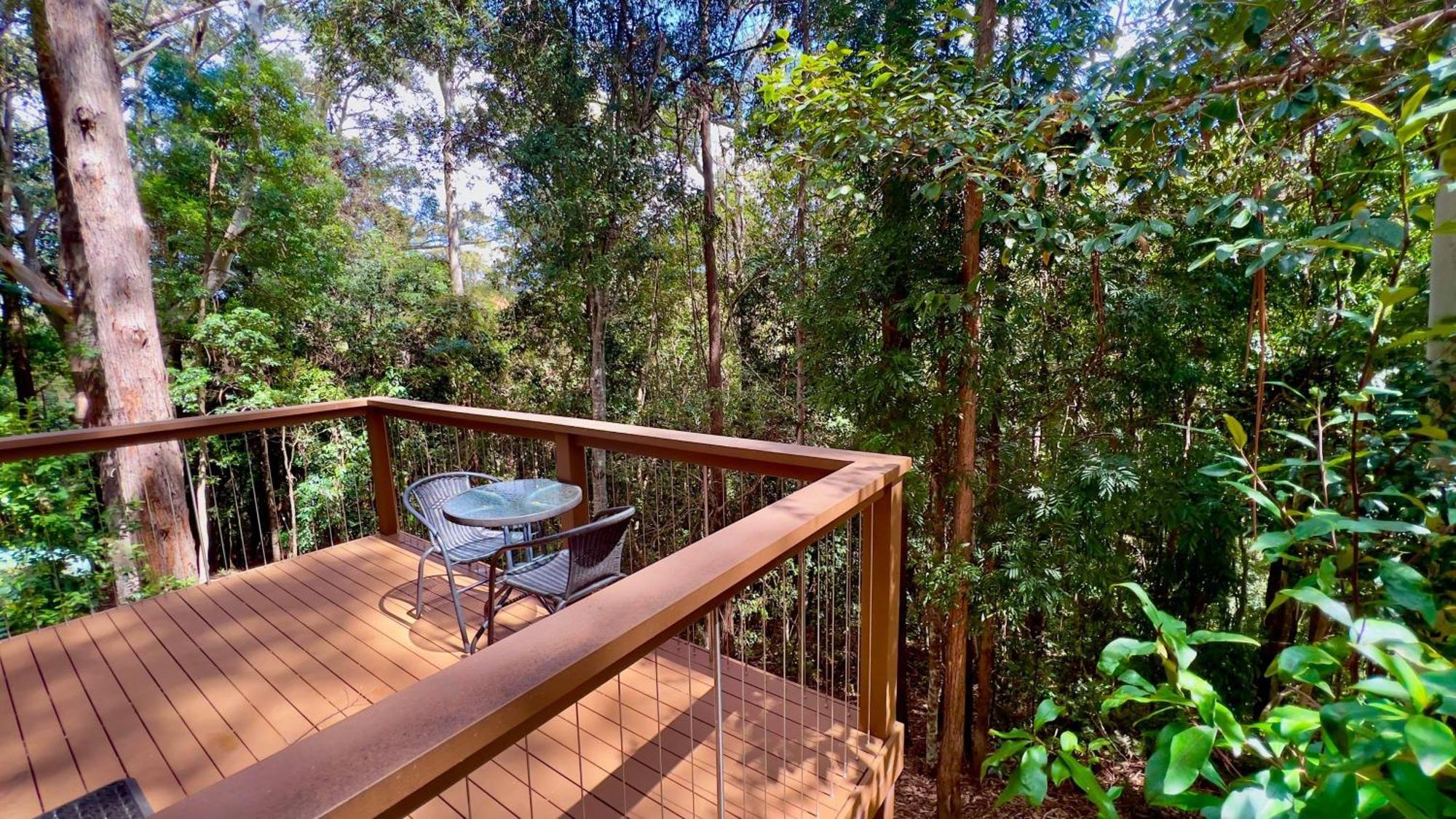 Kondalilla Eco Resort Montville Extérieur photo