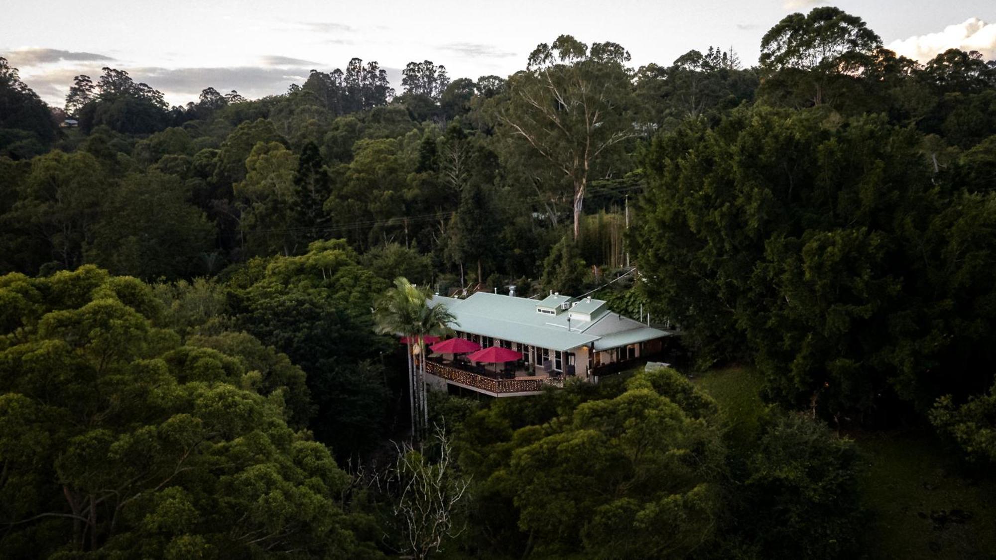 Kondalilla Eco Resort Montville Extérieur photo