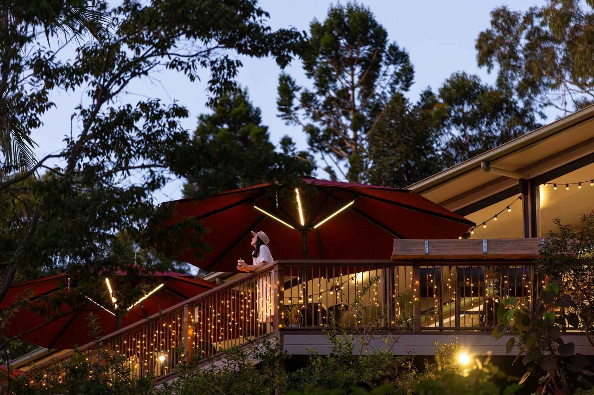 Kondalilla Eco Resort Montville Extérieur photo