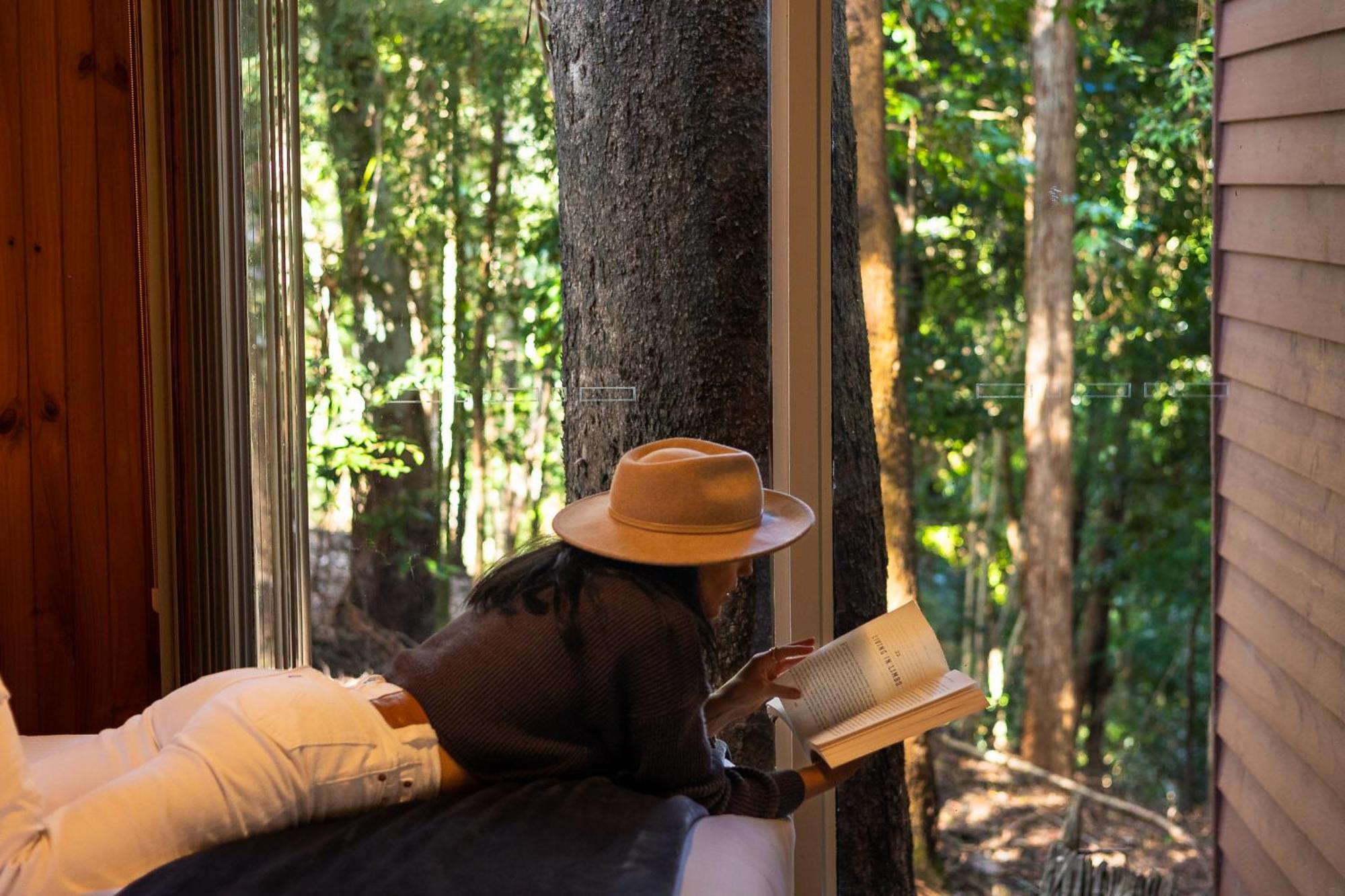 Kondalilla Eco Resort Montville Extérieur photo