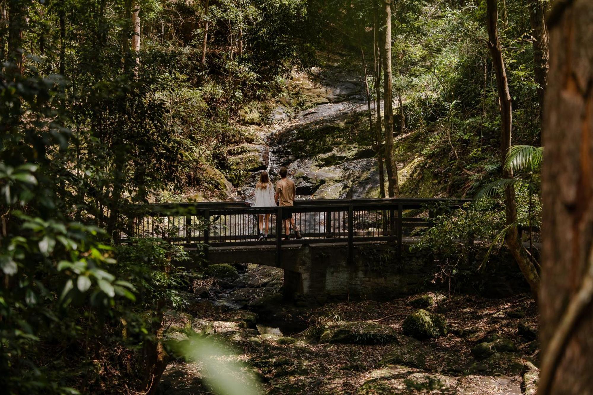 Kondalilla Eco Resort Montville Extérieur photo