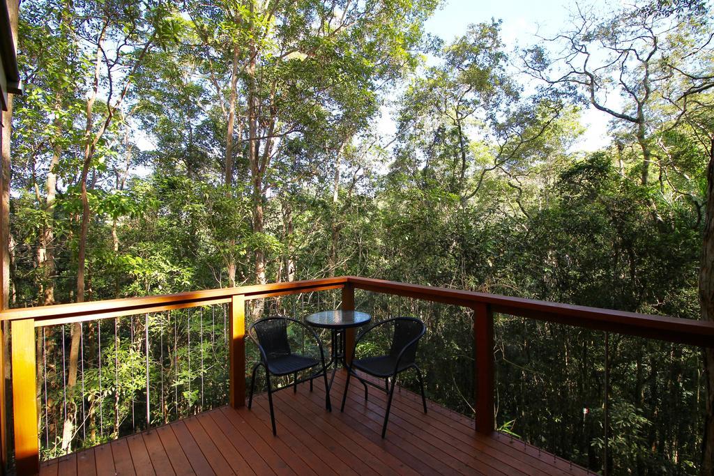 Kondalilla Eco Resort Montville Extérieur photo