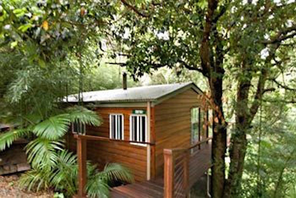 Kondalilla Eco Resort Montville Extérieur photo