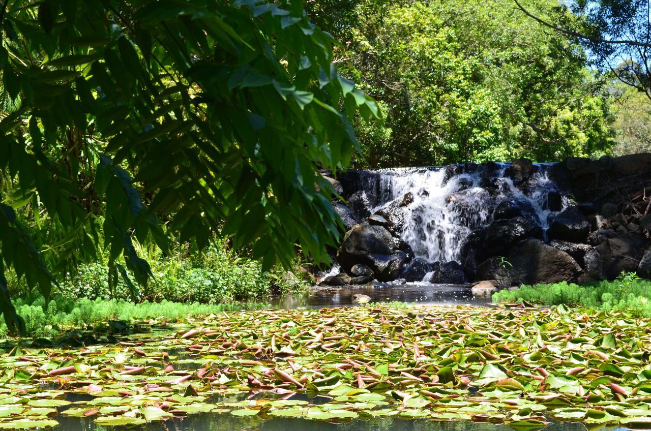 Kondalilla Eco Resort Montville Extérieur photo